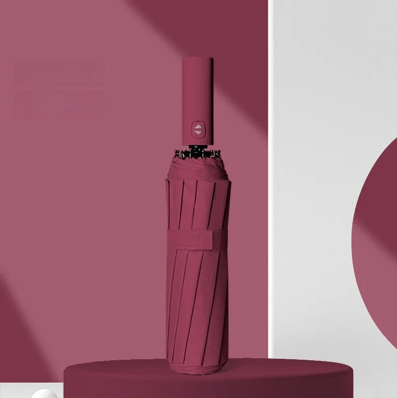 Fully Automatic Umbrella